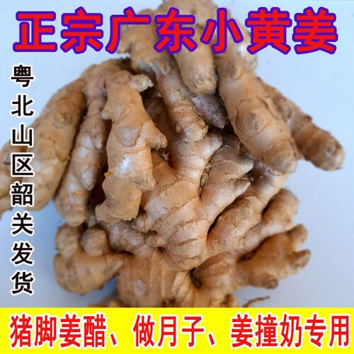 韶关小黄姜小黄姜月子姜辛辣姜