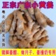 广东小黄姜韶关粤北客家竹丝姜生姜新鲜现挖高山老姜月子老姜撞奶