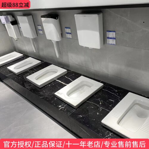 箭牌蹲便器蹲坑蹲厕大便池冲水箱
