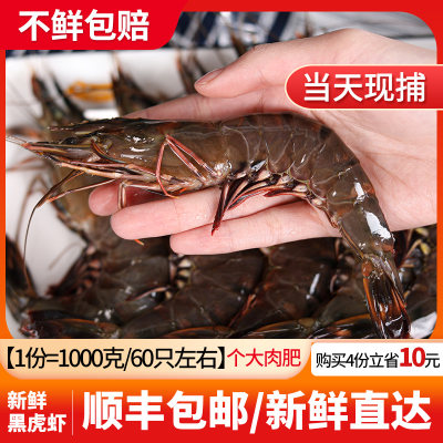 渔民的孩子黑虎虾1500g