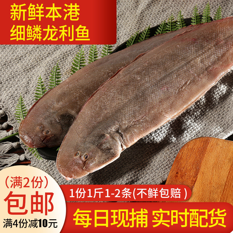 渔民的孩子每日现捕新鲜活福建海鲜水产本港细鳞大龙利龙舌踏板鱼