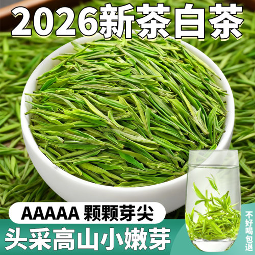 安吉云顶明前白茶2026新茶头春