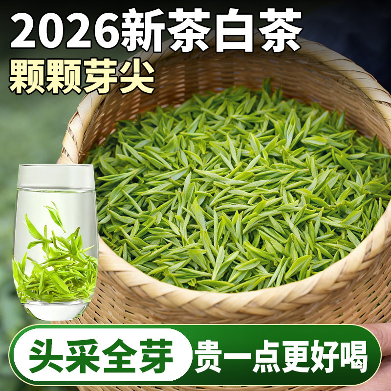 安吉云顶白茶2026新茶原产地正宗高山头春明前茶叶毛尖茶嫩芽绿茶
