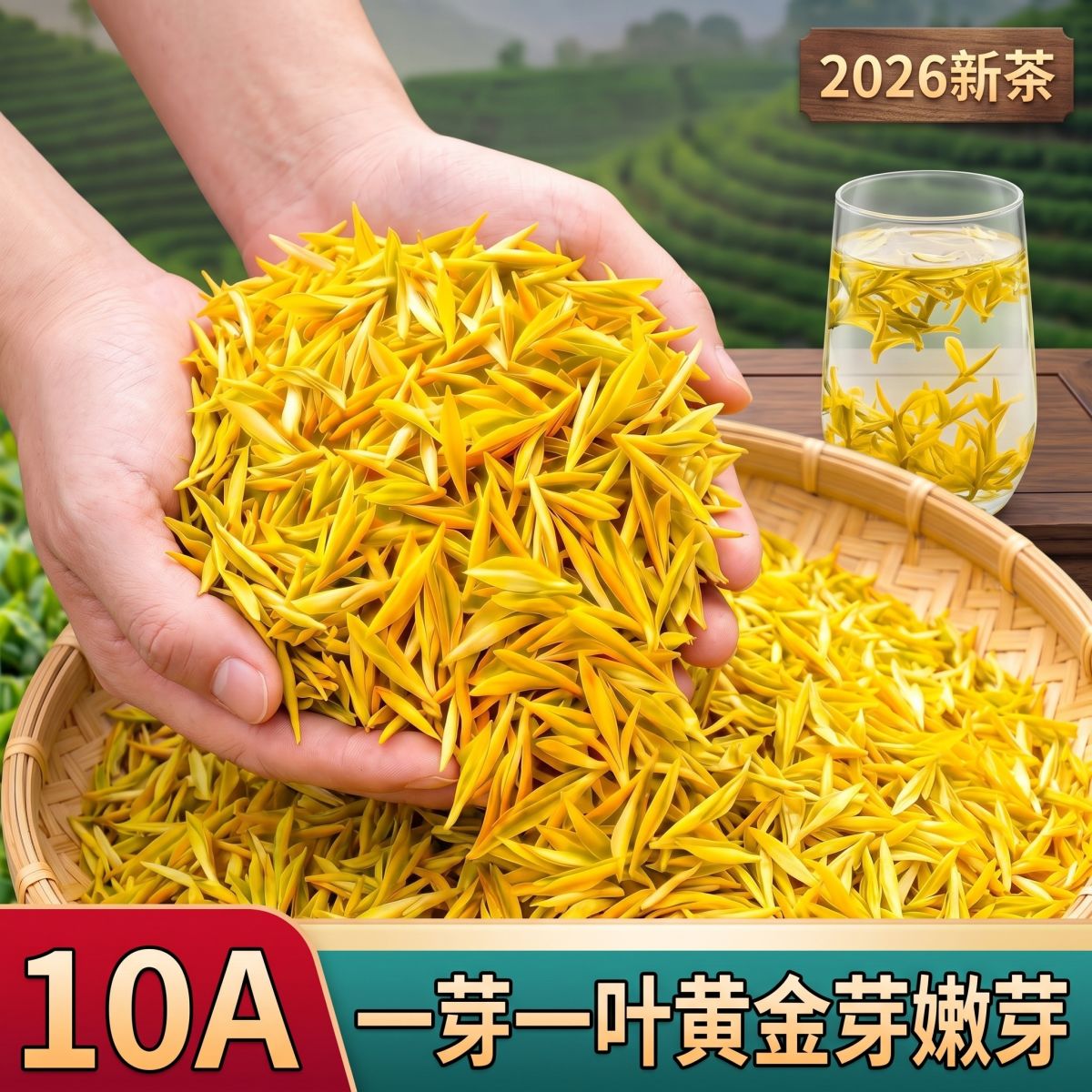 【特级一芽一叶嫩芽】2026新茶黄金芽安吉产正宗栗香高档罐装批发
