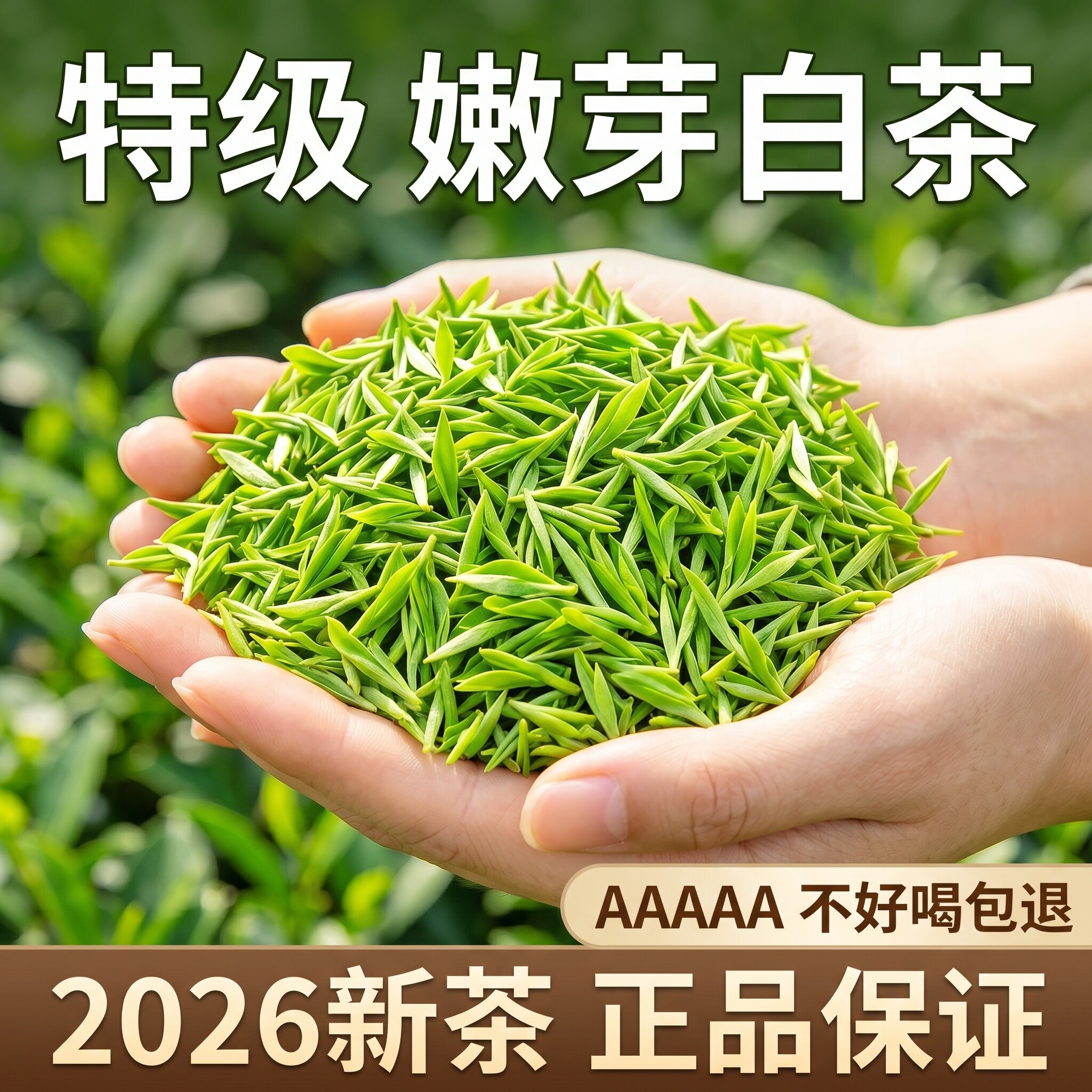 【一芽一叶嫩芽白茶】2026新茶安吉产甄选明前高档兰花香送礼精品