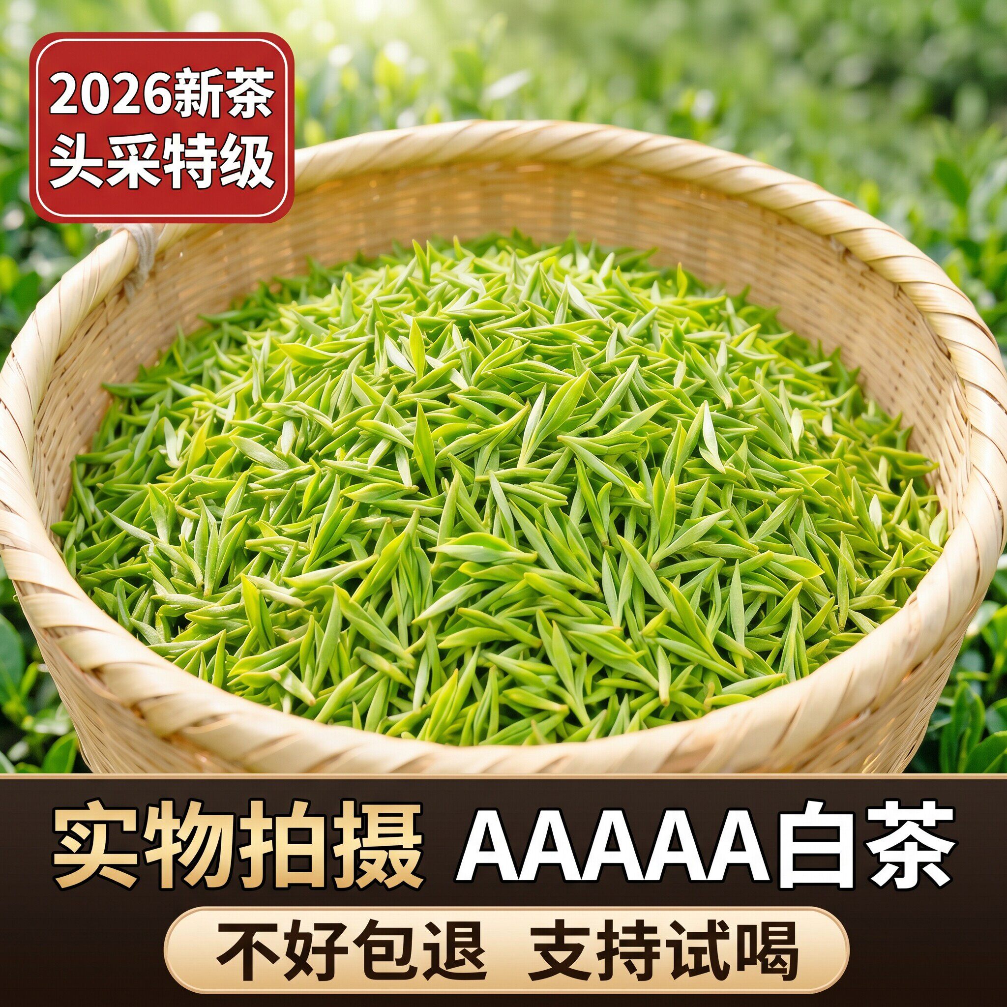 【头采嫩芽白茶】2026新茶安吉原料春茶明前高山毛尖绿茶叶浓香型