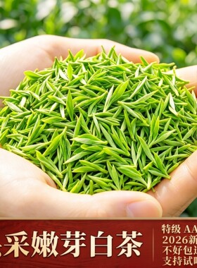 安吉产春茶2026一芽一叶新茶