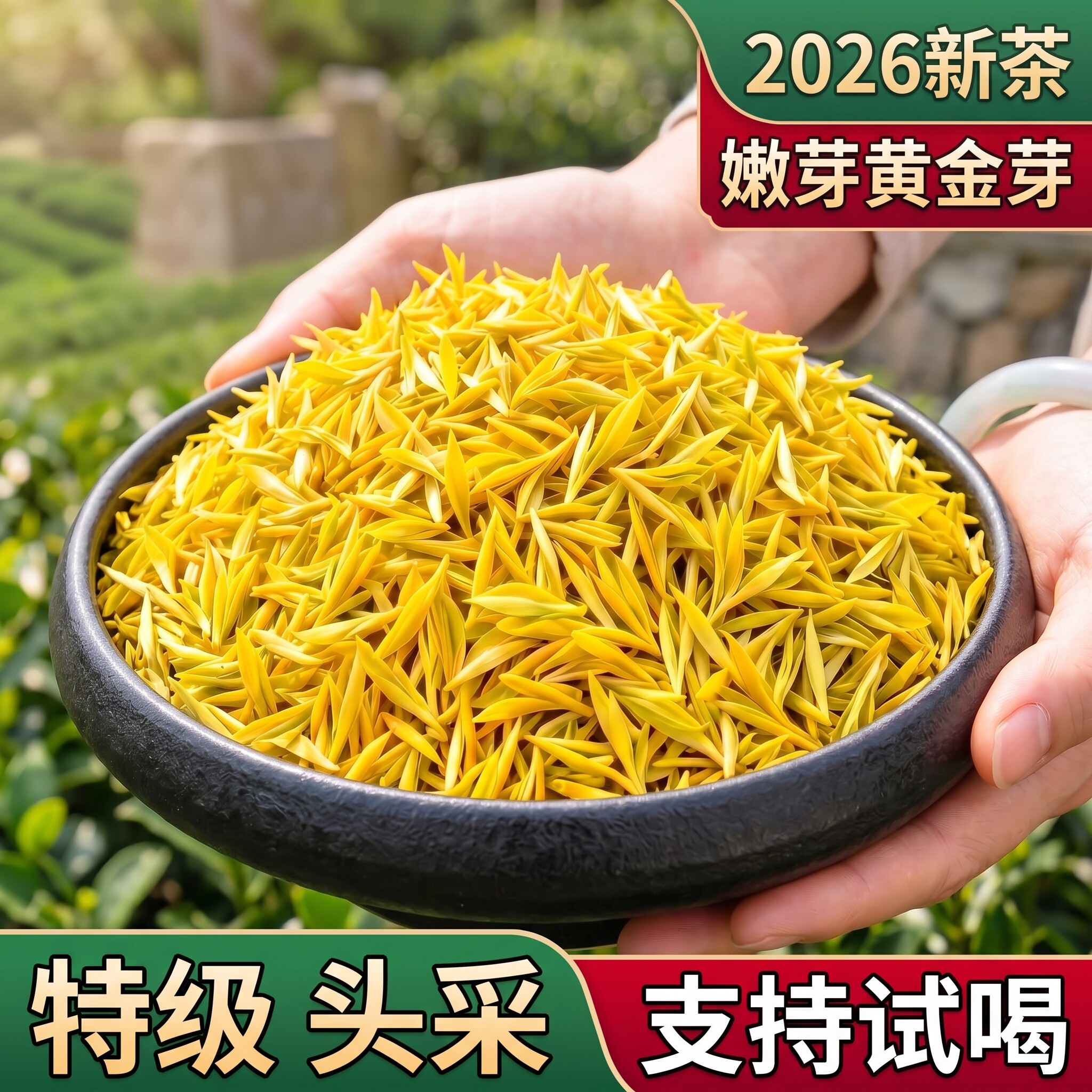 【一芽一叶嫩芽特级黄金芽】2026新茶正宗5A核心产区黄金芽栗香