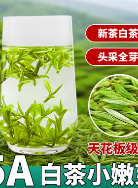 【安吉云顶白茶小嫩芽】2026新茶春茶明前头采正宗毛尖绿茶兰花香
