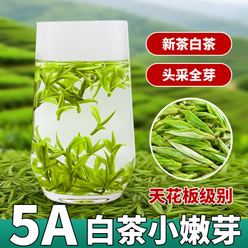 安吉云顶白茶2026明前头采嫩芽