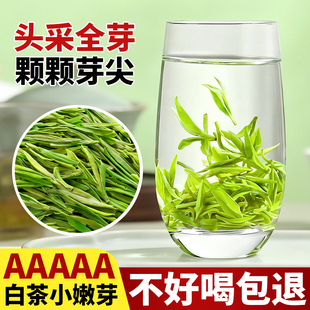 花香型头采送礼安吉云顶白茶特级一芽一叶春茶罐装500g鲜爽回甘