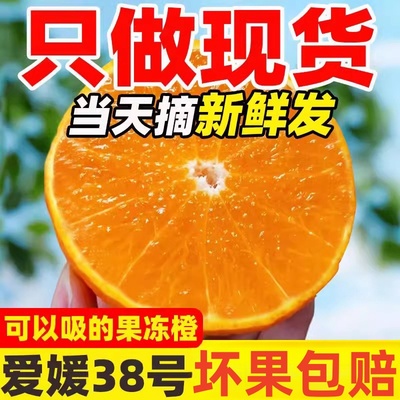 农人直发四川眉山爱媛38号果冻橙