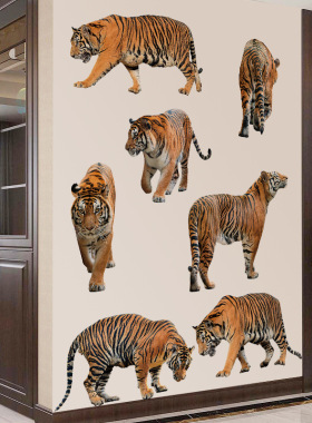 CH39124老虎墙贴纸动物贴贴画儿童房幼儿园墙壁装饰布置自粘贴图