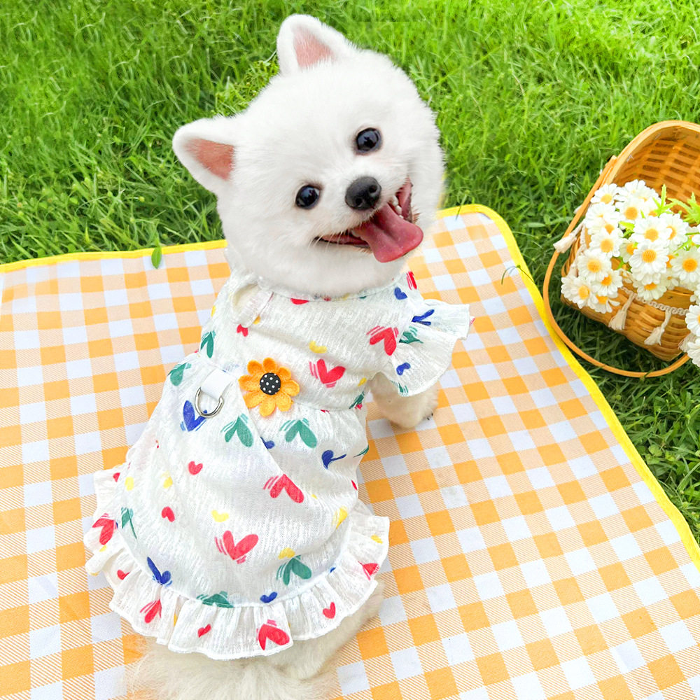 宠物裙子夏季狗狗裙子薄款猫咪可爱衣服牵引扣柯基比熊雪纳瑞夏装