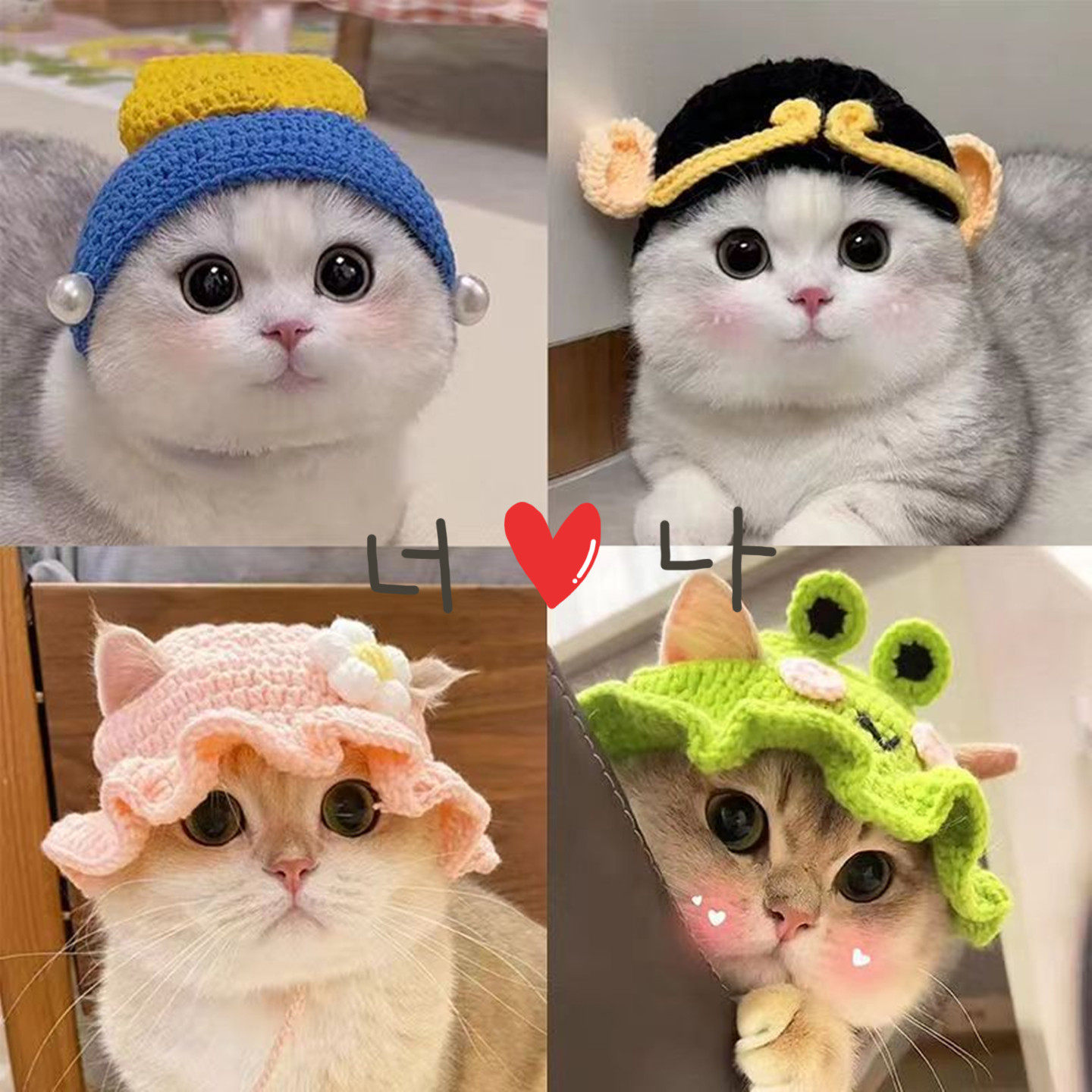 宠物帽子可爱猫咪头饰帽子小狗毛线编织露耳朵帽猫咪虎头帽子搞笑