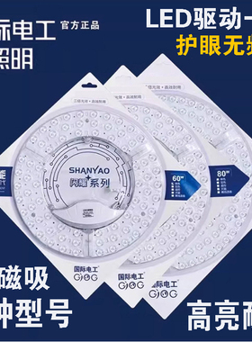 国际电工LED吸顶灯磁吸灯芯带驱动透镜光源高亮圆形灯板护眼节能