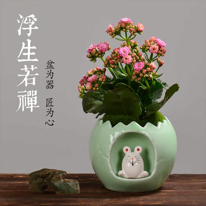 玫瑰多肉花盆养月季吊兰创意种花卡通可爱动物小清新中大陶瓷家用|ruв категории доставка цветов/цветок моделирования/растения садоводства, ваза/цветок/горшок/цветок (новый), горшок - от Buy2taobao.com для оказания профессиональной услуги покупки агента Taobao
