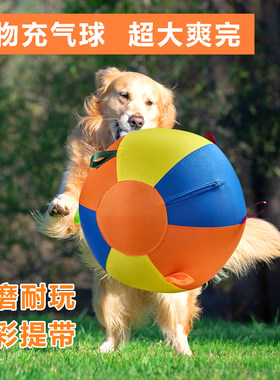狗狗巨型球玩具全套狗球金毛耐咬球解闷球逗柴犬柯基自嗨宠物大球