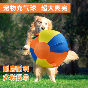 狗狗巨型球玩具全套狗球金毛耐咬球解闷球逗柴犬柯基自嗨宠物大球