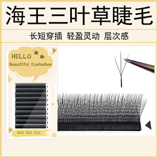 海王三叶草睫毛长短穿插美睫店专用不散根嫁接假眼睫毛柔软BC