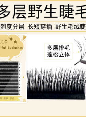 多层次野生山茶花睫毛