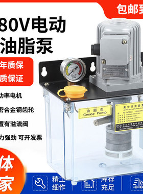 海天注塑机电动油脂润滑油泵机床380v全自动黄油齿轮泵RD54注油机