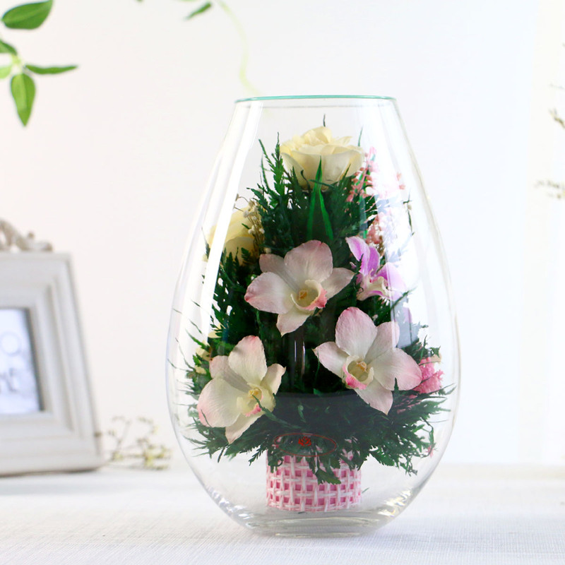 泰国进口FIORA 真空永生花保鲜兰花玫瑰花 生日情人节新年礼品