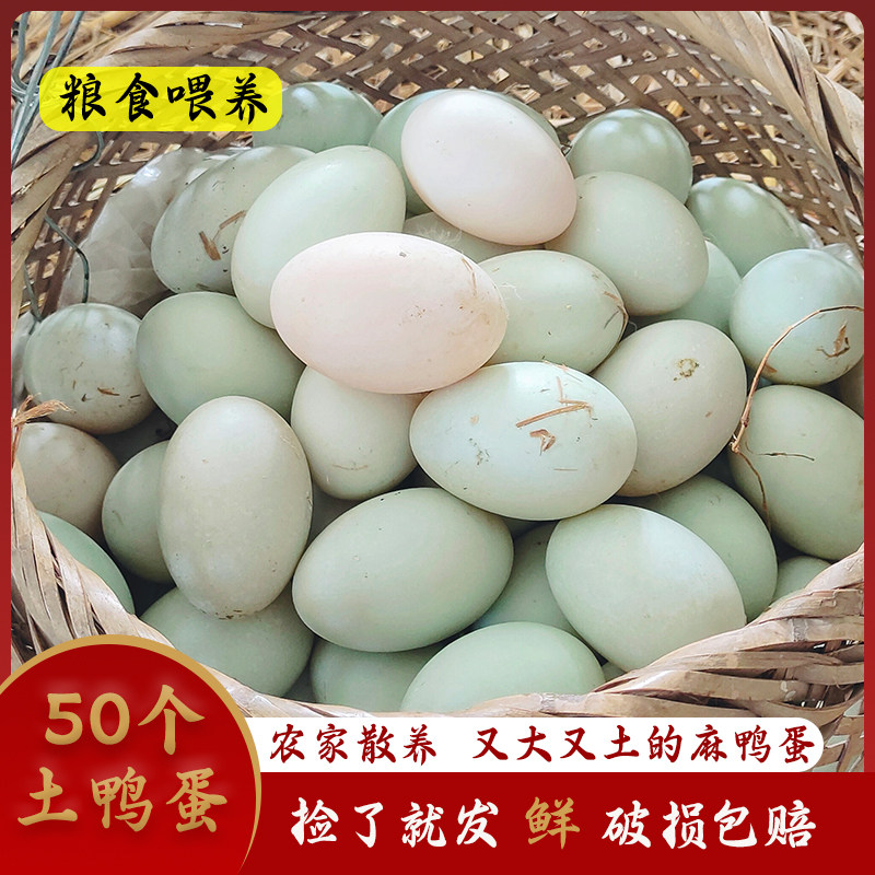 新鲜土鸭蛋四川农家粮食土麻鸭蛋