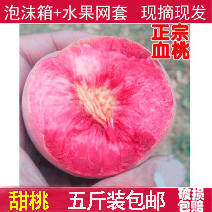 大血桃猪血红肉桃子时令孕妇新鲜水果当季5斤包邮水蜜桃脆桃