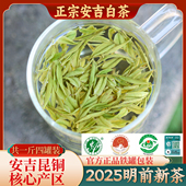2025新茶明前特级正宗安吉白茶昆铜核心产区官方正品 铁罐装 500g