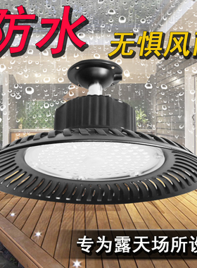 led户外防水照明灯室外露天防雨吊灯屋檐路灯花园庭院凉亭雨棚灯