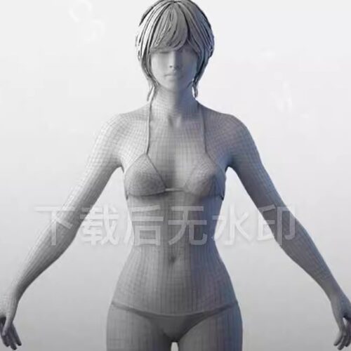3dmax Blender FBX女性头部脸部头发基础3D高模角色四边形未塌陷