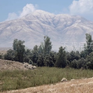 虚幻5ue5影视写实草原山地山脉风吹麦穗河道水塘水池树木森林环境