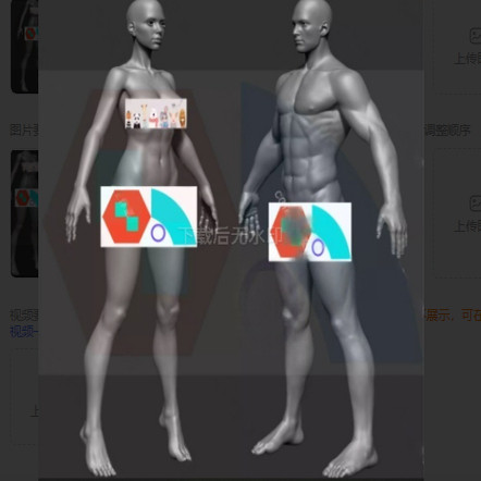 Zbrush男女角色人物基础3D模型Zb雕刻健美素体模型个人作品高模型