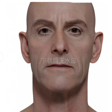 zbrush中老年男性性人头部像模型OBJ欧美白人皱纹FBX次时代3dmax