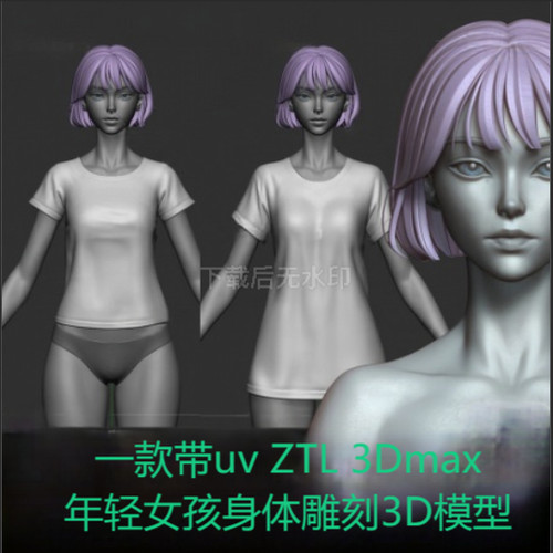 zbrush年轻女孩头部身体手部zb雕刻人体3D模型素体细分