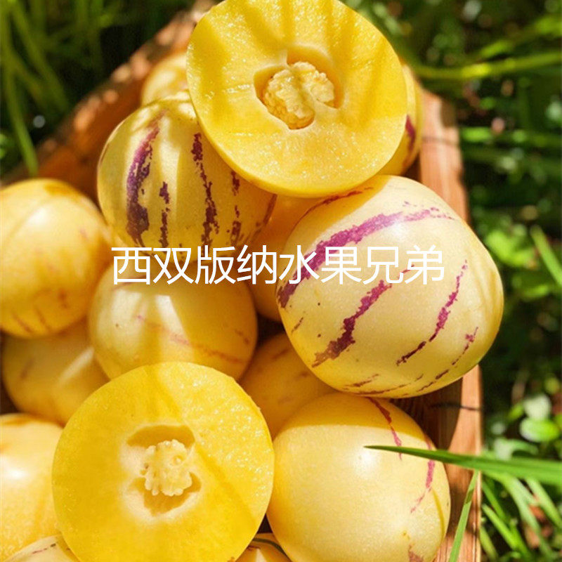 人参果新鲜水果现摘包邮