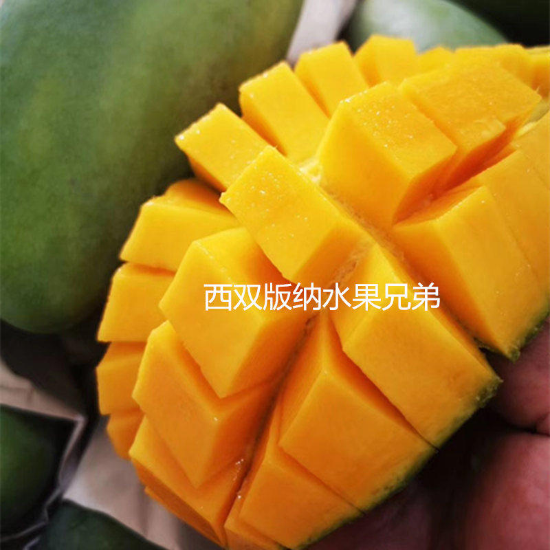 越南进口大青芒生吃芒果大青芒pk泰国海南青芒 新鲜9斤净果包邮