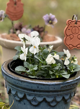 陶语花田粗陶卡通摆件挂件花盆红陶花插卡皮巴拉