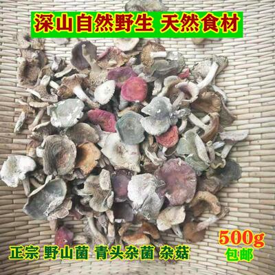 今年新货野生蘑菇青头杂菌白菇青菇杂菌野生菌土特产干货500g包邮