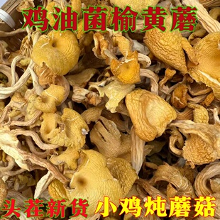 云南特产鸡油菌干货黄丝菌榆黄蘑小鸡炖蘑菇批发500克包邮菌菇香