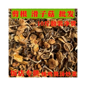 滑子菇小鸡炖蘑菇小黄蘑