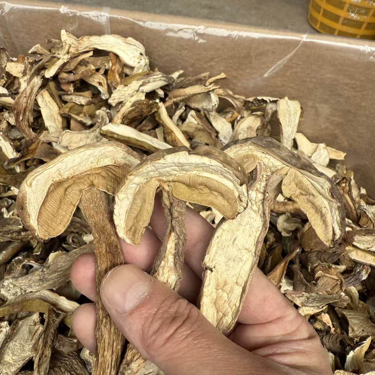 纯野生美味白牛肝菌干货火锅底料