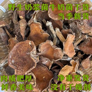 野生蘑菇奶浆菌干货农家土特产牛奶菌鲍汁菌批发煲汤炒菜火锅食材
