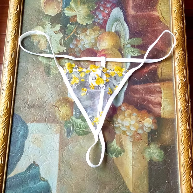 艾塔丽丝  欧美精品女士内裤透明网纱刺绣性感丁字裤适合臀围3132