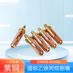 丙烷割嘴梅花割炬氧氣乙炔割嘴30煤氣嘴100型割槍割咀2號鍍鉻槍嘴