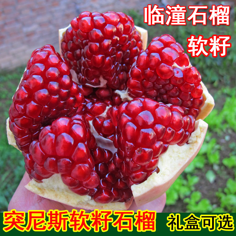 陕西临潼石榴软籽突尼斯贵妃红