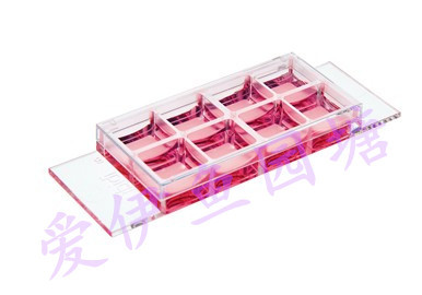 孔腔室载玻片底部处理免疫荧光