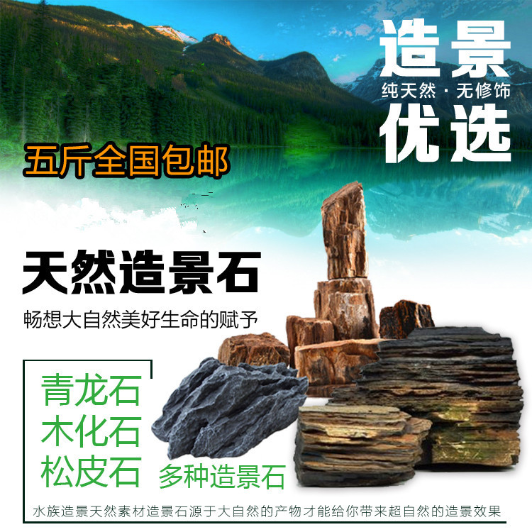 青龙石  松皮石 龙骨石  木化石 木化石 造景石 5斤价格 包邮