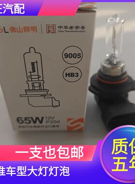 适用江淮嘉悦X4 思皓E40X X4 X6大灯远近光一体HB3卤素灯泡插头线